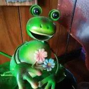 めぐ