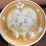チマキの画像