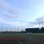 BBの画像
