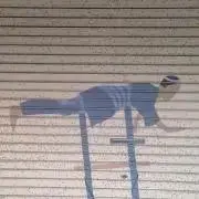 1-5日で発送　交渉可の画像