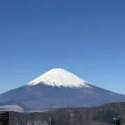 プーの画像