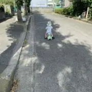 ホーミの画像