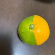 さくまゆの画像