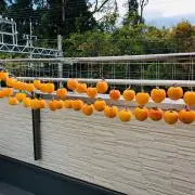 きなぶんの画像