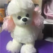 Lin☆プロフ必読  土日祝日発送不可の画像