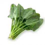 spinach