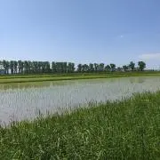 もー