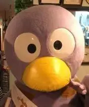 のらひの画像