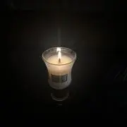でかめのダンゴムシ