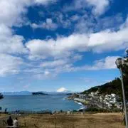 おもちっこの画像