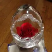 みんみん＊プロフ必読です＊