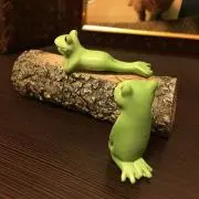 うさぎの画像