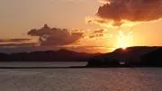 ゆうの画像