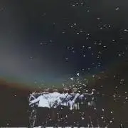 マリネの画像