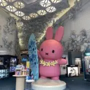 na-chu♡の画像