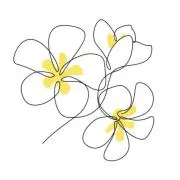 pikake☀︎の画像