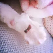 Ikumi