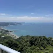 M.gの画像