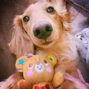 chill♡maの画像