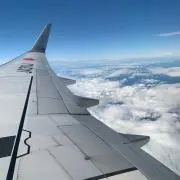 sssaの画像