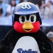 キブロワイトの画像