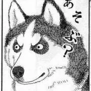 TT@断捨離中の画像