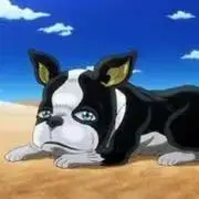イギー ＊プロフ必読＊