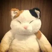 Yoshiの画像