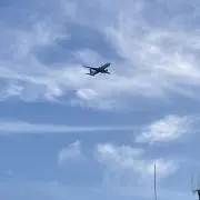 ぴろごん　プロフ見てねの画像