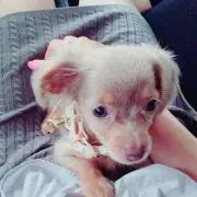 ℳ ✿.*の画像