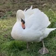 ざっくばらん