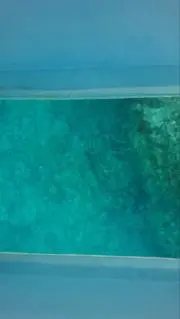 まる(自己紹介を必ずご覧下さい)
