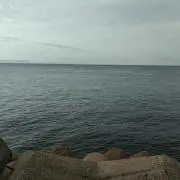 Big Blueの画像