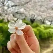ℝ❀