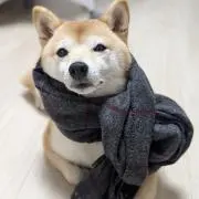 亨の画像