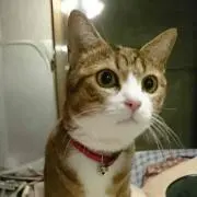 あいまま〜♪