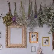 びびの画像