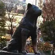 ピッピ Mamaの画像