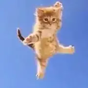 aの画像