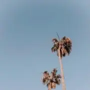 minuの画像