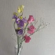 山田の画像