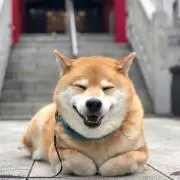 iTsの画像
