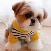 (^-^)の画像
