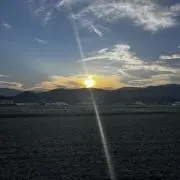 Hikamon