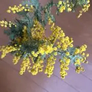 u 初心者の画像