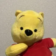 テディの画像