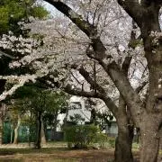 マンマルまま