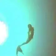 むんた