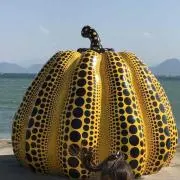 あきの画像