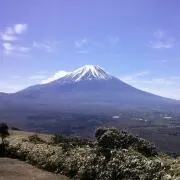 いまいきるの画像